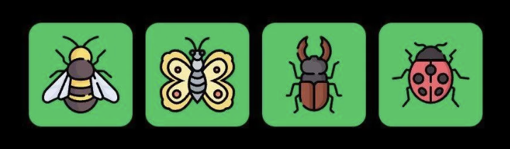 FLIES Daily Combo 17 May 2025